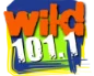 Wild 101 logo